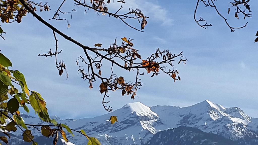 Oase Zum Sein Appartement Spiez Buitenkant foto