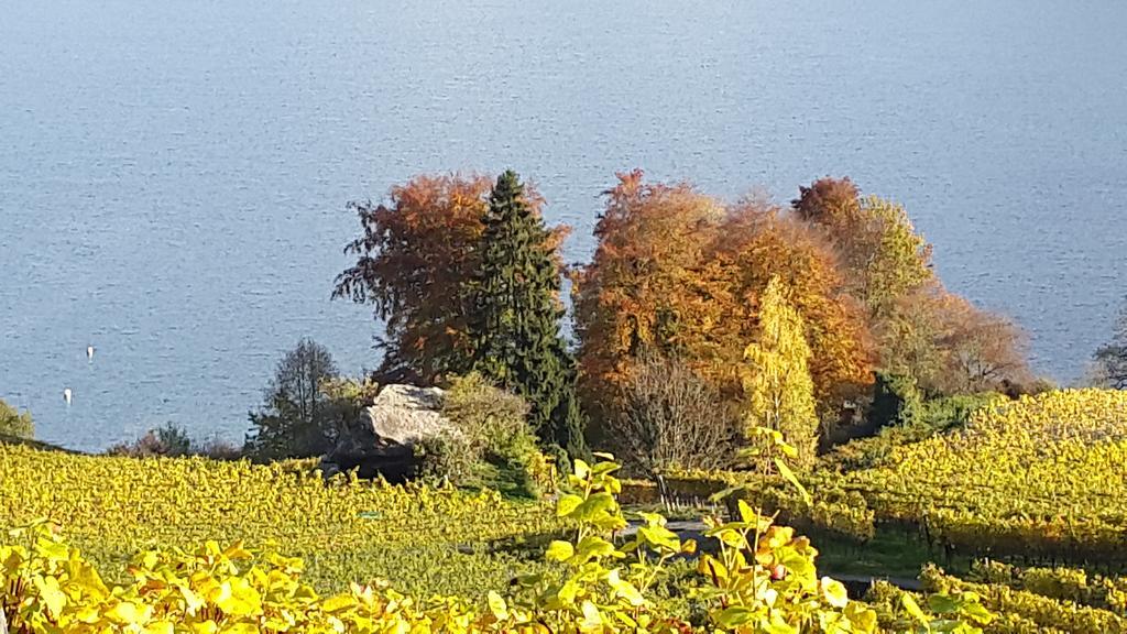 Oase Zum Sein Appartement Spiez Kamer foto