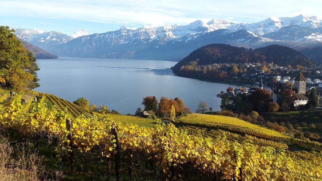 Oase Zum Sein Appartement Spiez Buitenkant foto